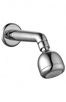 Shower  Arm With Overhead Shower
